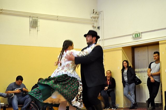 csibetábor az aranyban 48